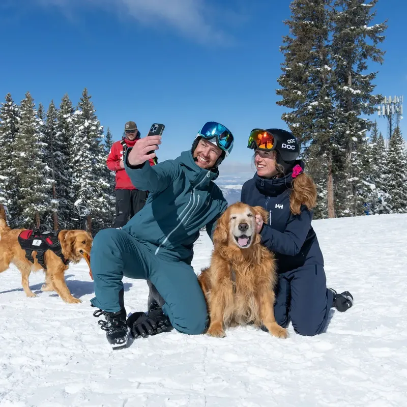 65667 453 9 action13