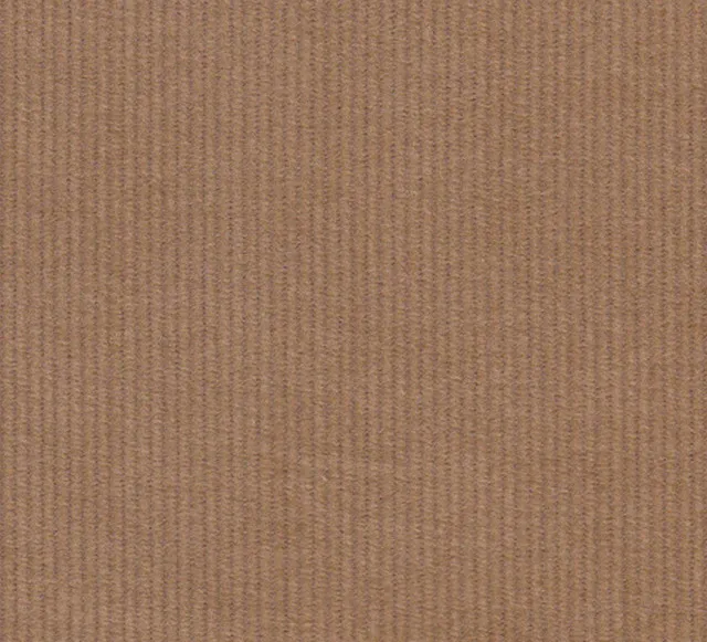 Corduroy camel anthem branding