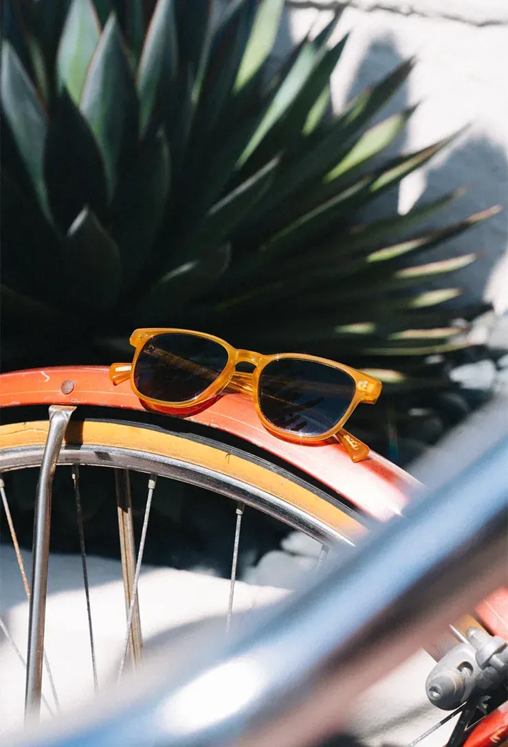 Raen optics alvez by anthem branding 2