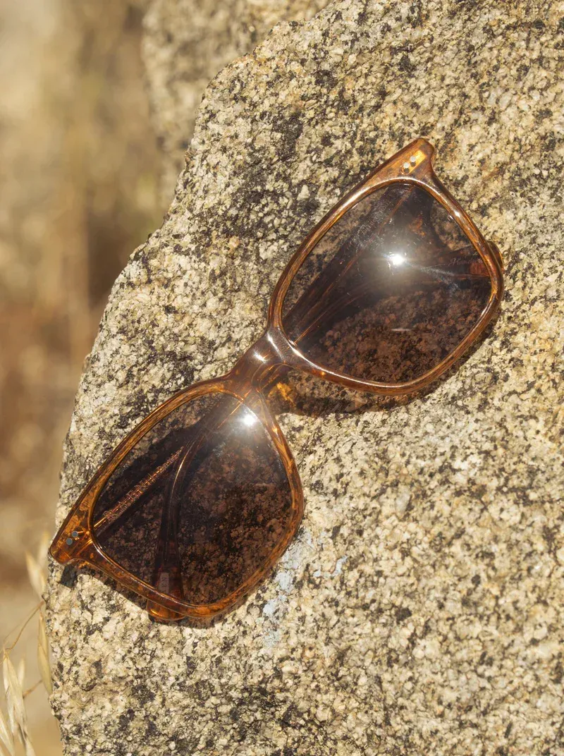 Raen optics DARINE by anthem branding 2