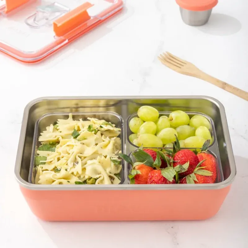 Rigwa travel lunch box 9x6 coral by anthem branding