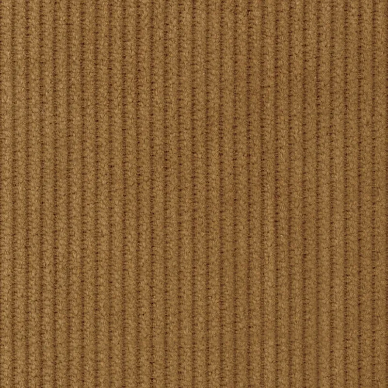 Wide corduroy bronze anthem branding